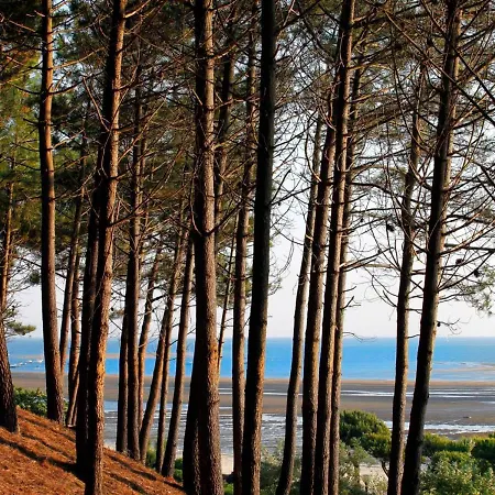 Avec Terrasse Et Jardin Dans Belle Maison Arcachonnaise, Proche Plages Et Centre-ville - Fr-1-420-137 Arcachon